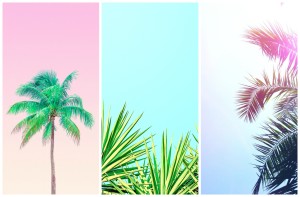 zomerse wallpapers the girl in bed zomer 2