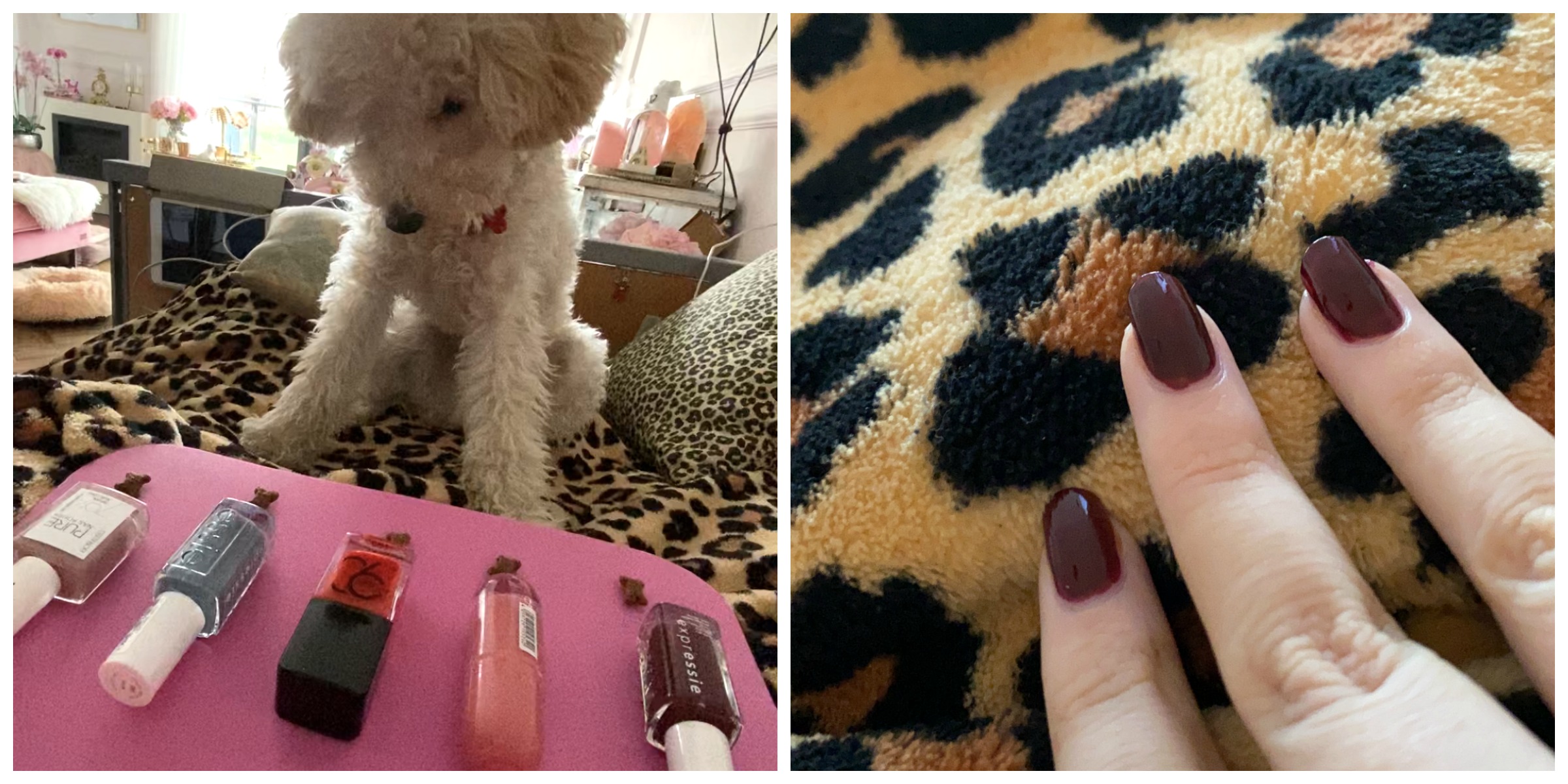 TGIB WEEKLY: dog picks my nail polish challenge